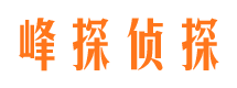 醴陵找人公司